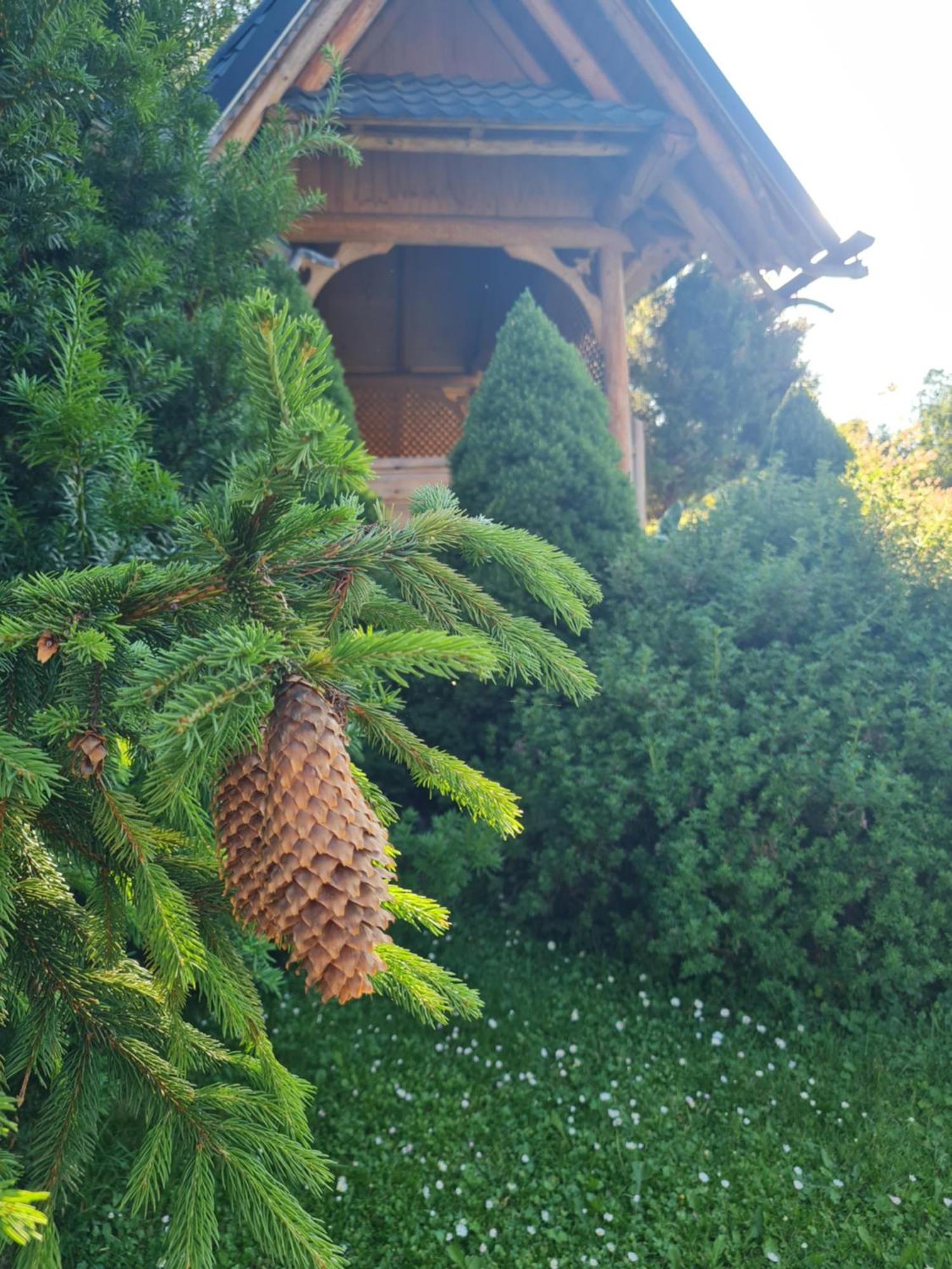 Apartamenty Przy Srodkowej 53 Bialka Tatrzanska Bagian luar foto